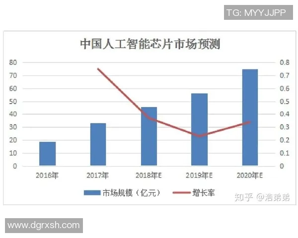 独家解读上海乒乓球队的训练节奏与比赛表现的深度对比分析